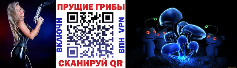Купить где  Хадыженск  Галлюциногенные грибы Psilocybe 