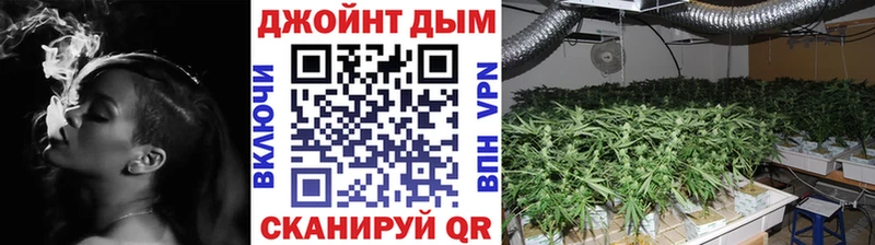 Купить где  Хадыженск  Канабис AK-47 